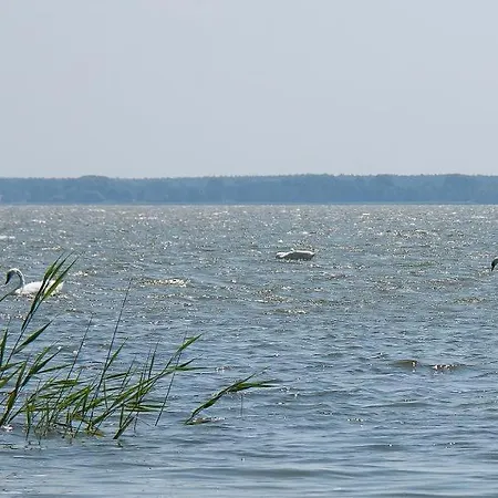 Haus Schilfkante - 2 아파트 비에크