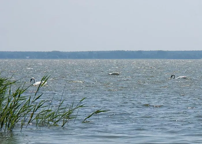 Haus Schilfkante - 2 Apartamento Wieck